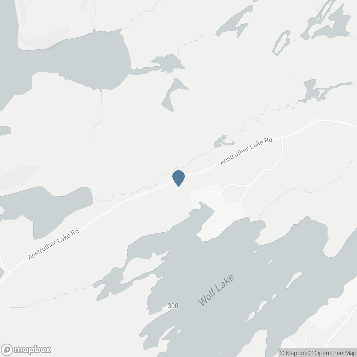 1207 ANSTRUTHER LAKE WAO, Apsley, Ontario K0L 1A0